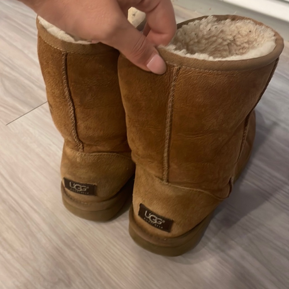 Chestnut Uggs